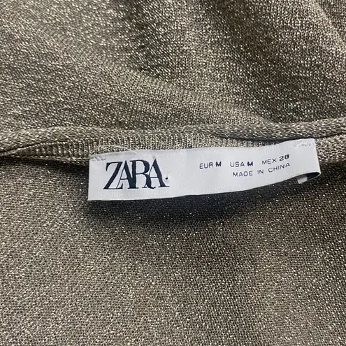 ZARA  SHEER METALLIC MAXI DRESS