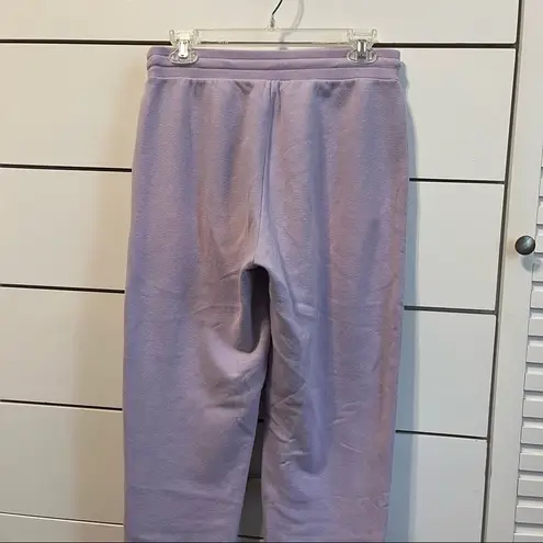 American Eagle  Purple Sweatpants