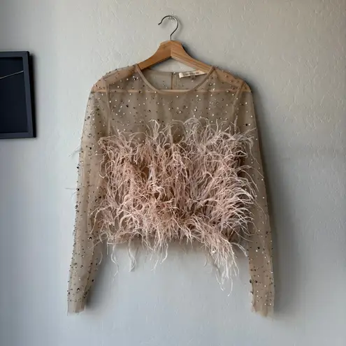 RÊVE RICHE Jasmina Feather Embellished Dusty Rose Sheer Long Sleeve Top Size 42 Pink