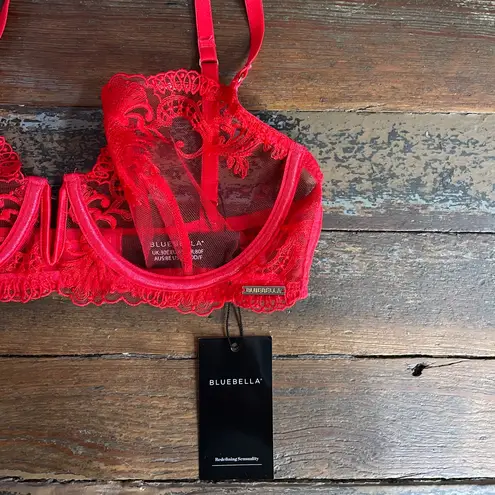 NWT Bluebella Marseille Plunge Underwired Embroidered Red Mesh Bra Sz 30DDD 💚🎀