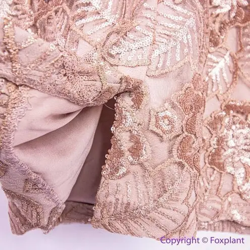 Alex Evenings NEW Alex Evenings cap sleeve Embroidered Sequin Lace Dress, 14