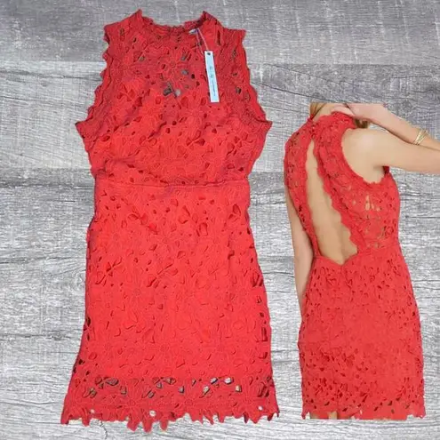 She & Sky  Floral Lace Overlay Mini Dress NEW Juniors L Open Back Coral