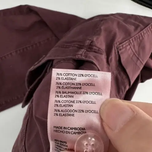 Anthropologie  Pilcro The Demilune Boot Utility Flare Pant Plum Size‎ 29” Size 8