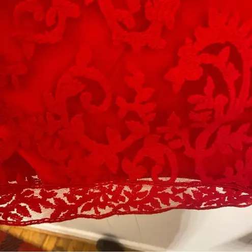 Tadashi Shoji Embroidered Banded Lace Cocktail Dress Flame Red Bateau Neck (10)