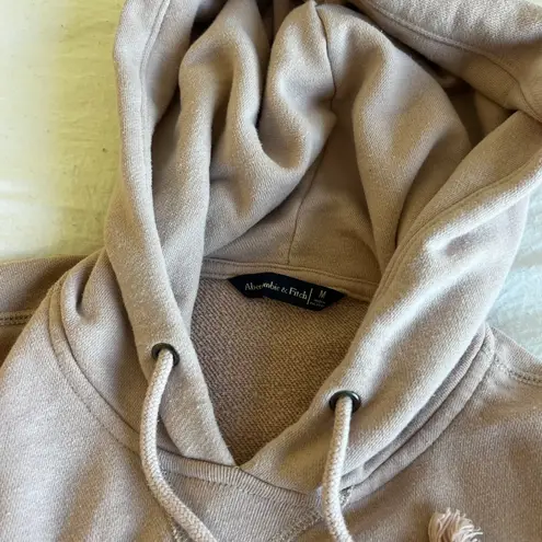 Abercrombie & Fitch Sweatshirt thumbnail 3
