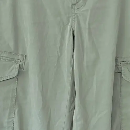 American Eagle  Outfitters Sage Cargo Pants