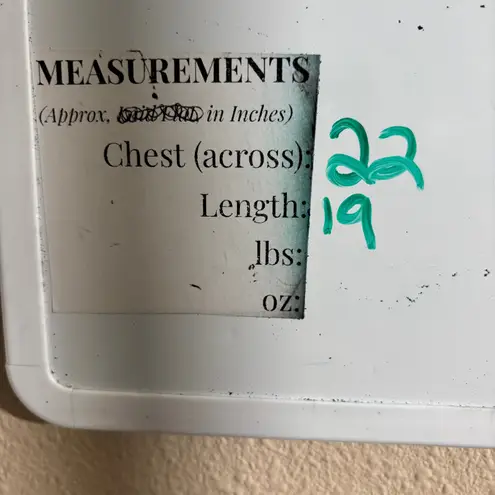 Vintage Winnie The Pooh Disney T