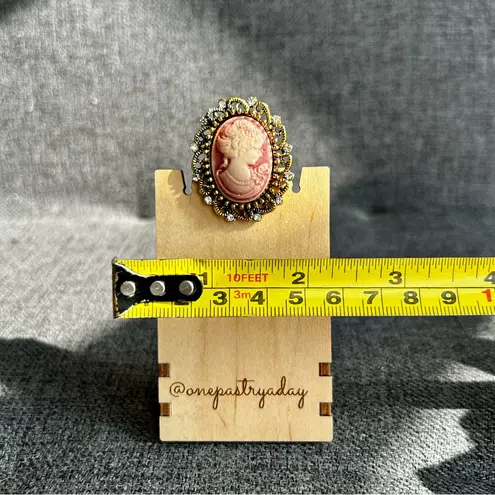 Sparkly Cameo Brooch Pin, Rhinestone Filigree Edging Detail, Red, Pink, Gold Red