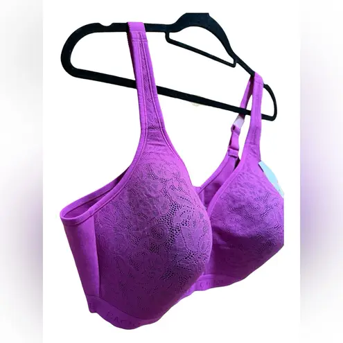 Cacique Cotton Collection Lightly Lined No-Wire Bra 46D – NWT Purple Lane Bryant