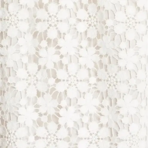 ALC Frank A.L.C. Bolen Off the Shoulder Lace Dress