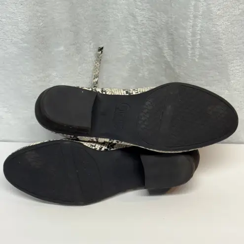 Circus by Sam Edelman Pipper Booties Women 8 Snakeskin Faux Leather Festival