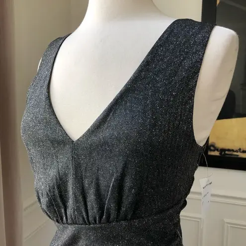 Max & Ash Dress Black Silver Glitter NWT M L Black
