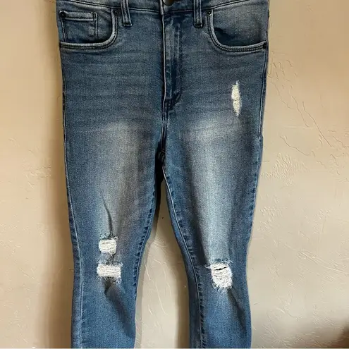 sts blue Brie High Rise Skinny Distressed Raw Hem Denim Jeans