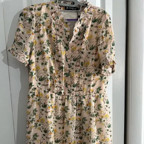 Allegra K NWT! 💯 blush ruffle neck boho floral chiffon dress sz Medium