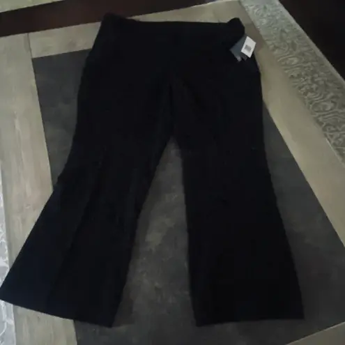 Briggs New York Women's Perfect Fit Pant