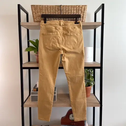 Liverpool Jeans Company Mid