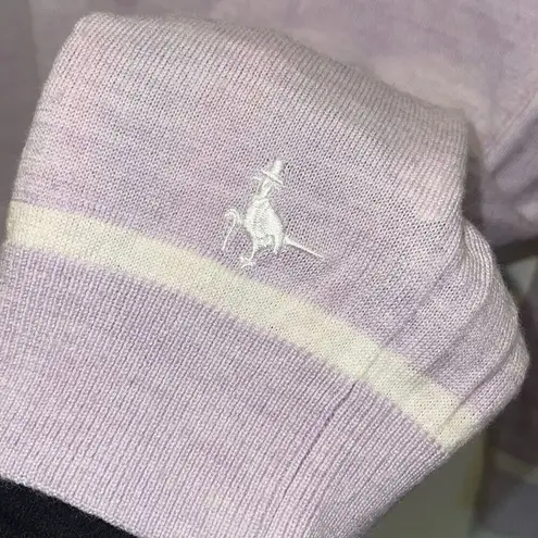 Jack Wills Womens Extra Fine Merino Wool V-neck Pullover Sweater Purple Size 4