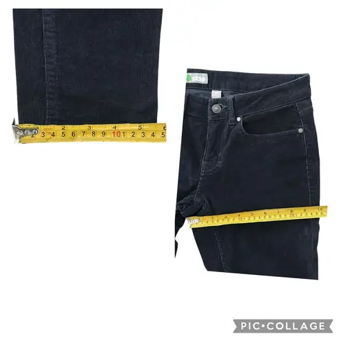 Stio Women's Rivet Cord Navy Blue Organic Cotton 5 Pocket Corduroy Pants Size 4