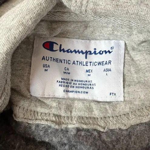 Champion  Hooded Sweatshirt Dark Gray Size Medium