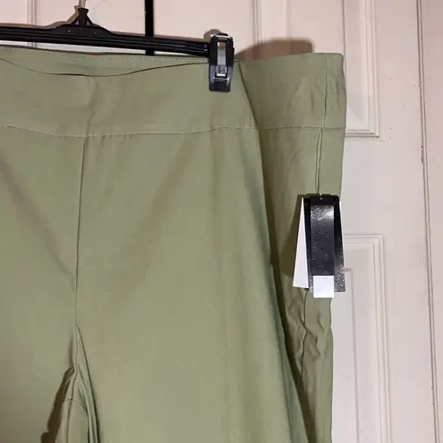 Premise Woman Spring Green Stretch Waistband Ankle Cropped Pants Size 3X NWT