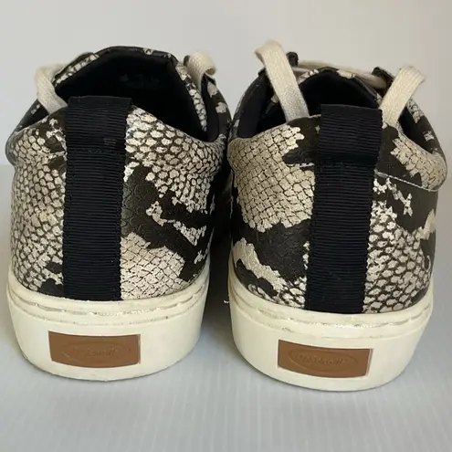 Dr. Scholl’s Snake Print Sneakers 10M Women’s Casual Lace