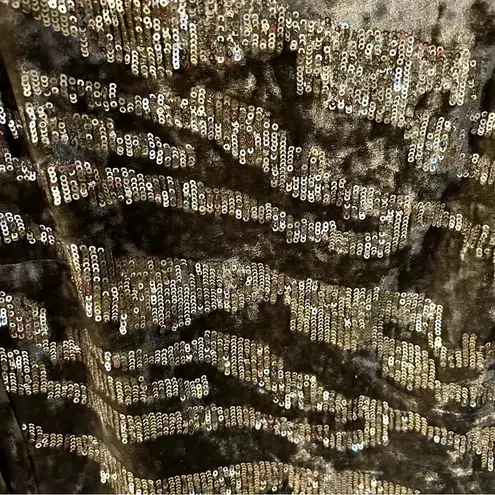 Boston Proper | Sequin & Velvet Zebra Animal Print Dress | womens size 4