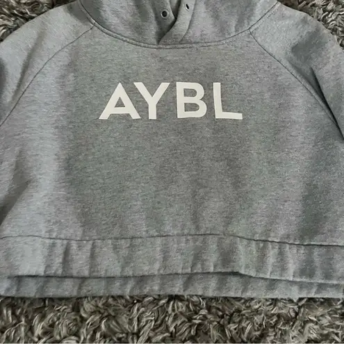 AYBL  cropped hoodie size medium