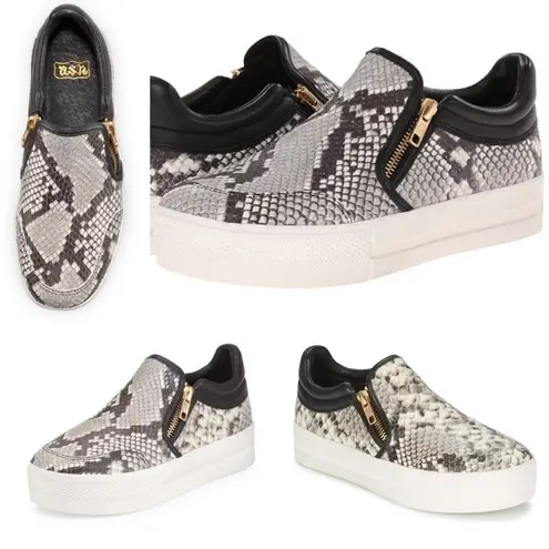 Ash Jordy Snake-Print Leather Sneaker Side Zipper Roccia & Black Size 40 US 10
