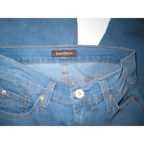 James Jeans New Womens Designer 27 Skinny Fiore Twiggy Legging USA NWT Blue