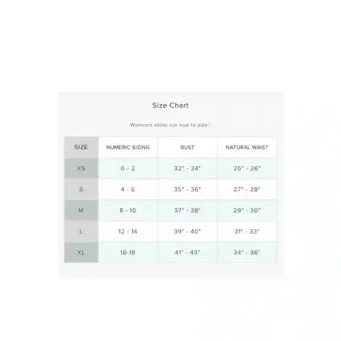 NWT Untuckit Sorbo Shirt women’s Windowpane Plaid Long Sleeve Button Up Blue Size 2