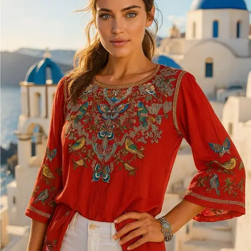 Johnny Was Farfalla extremely heavily embroidered blouse NWT RARE