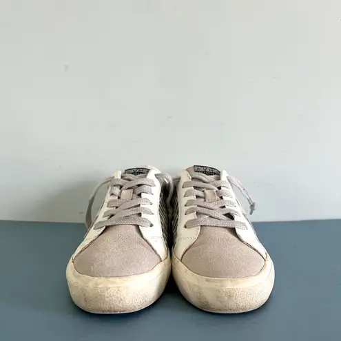 Vintage Havana Ingrid Wild Croc Low Top Fashion Sneakers