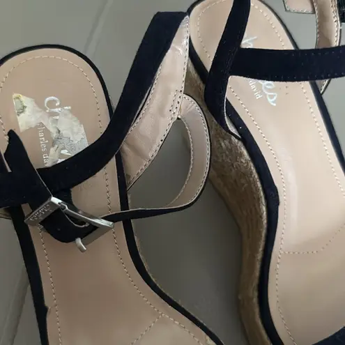 Charles David Charles by Navy Blue Espadrille Wedge Sandals Size 6M