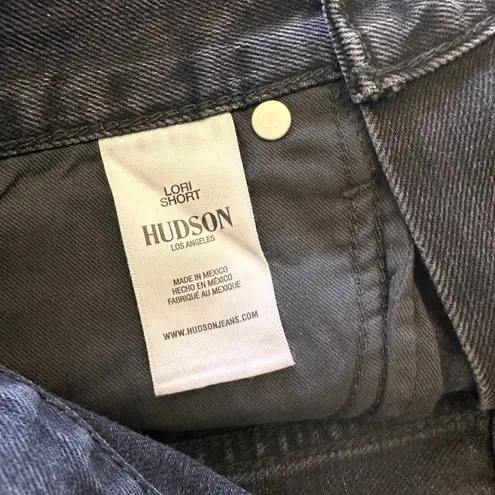 Hudson Jeans #19 NWT Hudson Lori Cutoff Denim Shorts in Tainted Love