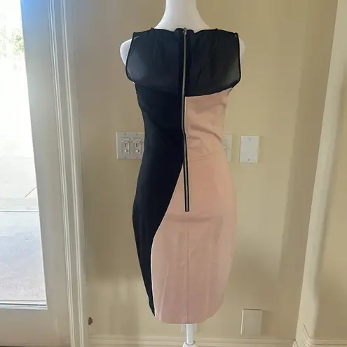 Erin Fetherston Riding The Wave Sheath Dress Size 6 Black