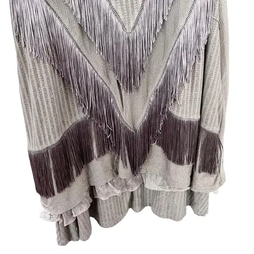 Save The Queen Long Sleeve Metallic Stripe Fringe Dress Greige Women's Small