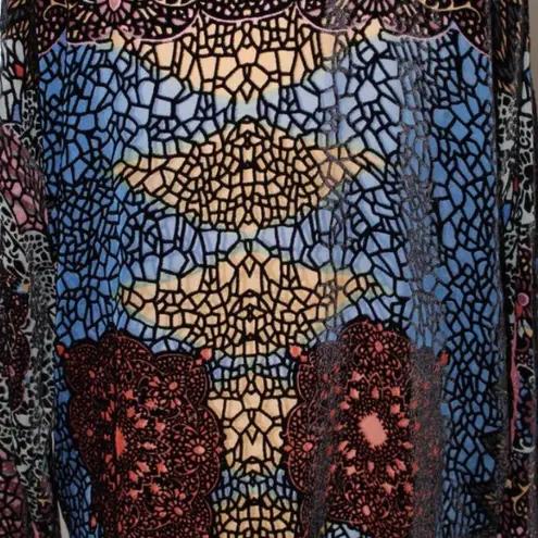 Johnny Was Axelle velvet burnout shirt and pants set (oversized)