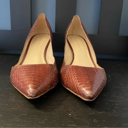 Loeffler Randall Brown Red Snakeskin Pointed Toe 3 Inch Heels Women’s Size 9.5