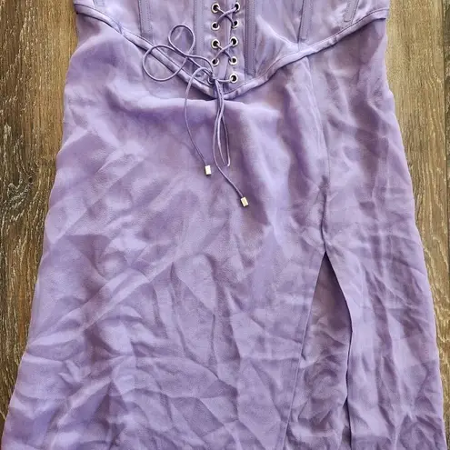 Retrofête Retrofete Larissa Dress in Dusty Lilac Purple Large Silk NWT Corset Semi Sheer