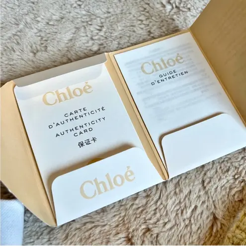 Chloé NWT Chloe Woody Crochet Nano Crossbody Tote Bag