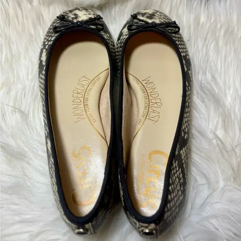 Circus by Sam Edelman Charlotte Ivory Snakeskin Print Ballet Flats