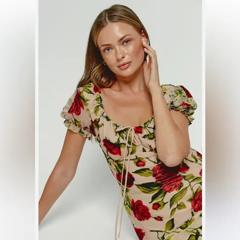 Rare London Rose Devore burnout velvet maxi dress coquette Sz 8 NWT