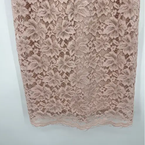 Enfocus Studio Lace Midi Dress Sz 4 Blush Cottage Castlecore High Neck Coquette