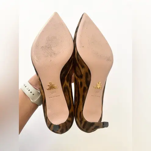 Prada  Black Brown leather Calf Hair Leopard Print pointed toe pumps EU 39.5