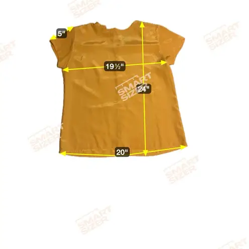 Petite Sophisticate Gold Blouse, Women's Size 10, Short Sleeve Career Casual Top