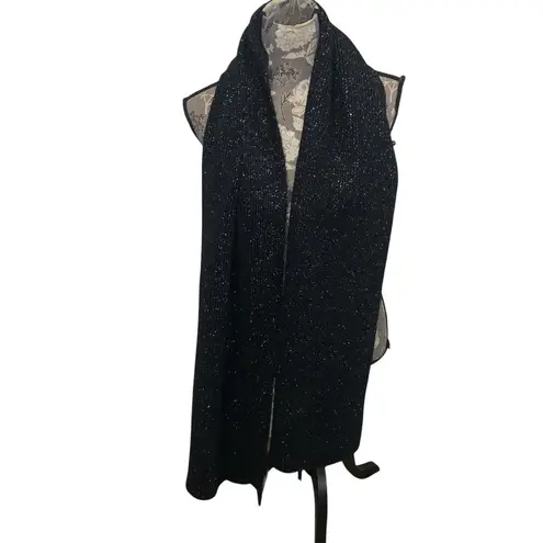 EXPRESS  Black Glittery Knit Scarf NWT