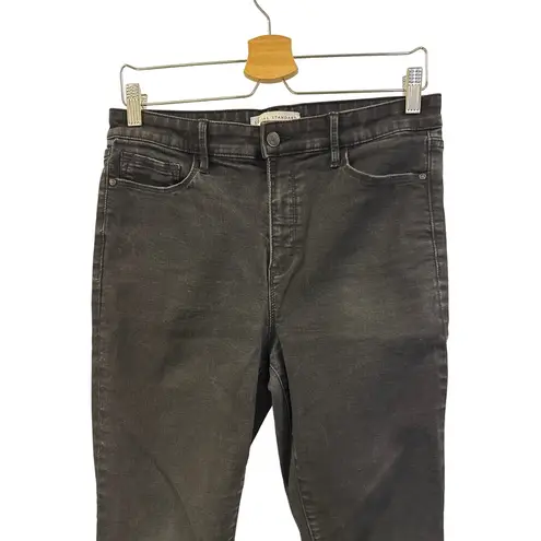 Social Standard by Sanctuary Black High