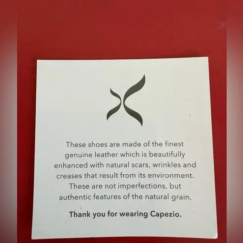 Capezio NIB FLEX MASTR TAP SHOE 10.5W
CG16-CAR10.5W