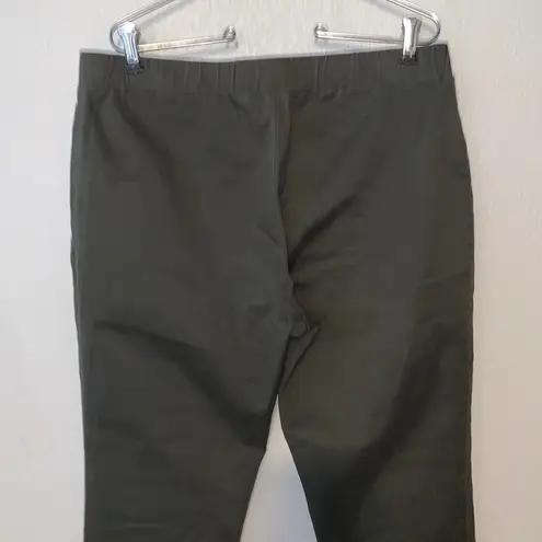 Inc international Concepts green pull on casual straight leg pants bottom zip