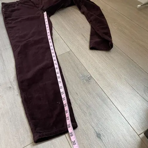 Well Worn Ladies' Pant High-Rise Luxe Velvet Tapered Pant size 8 / 29